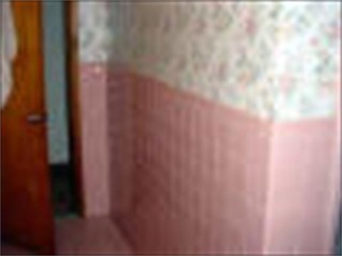 pinktileonwallsa